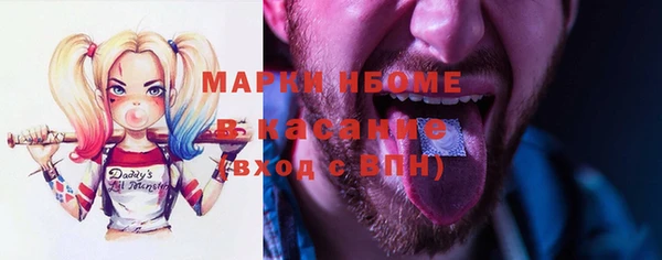 прущие грибы Абинск