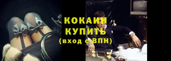 прущие грибы Абинск