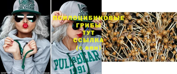 мяу мяу мука Абдулино
