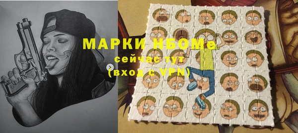 прущие грибы Абинск