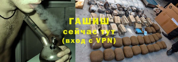 прущие грибы Абинск
