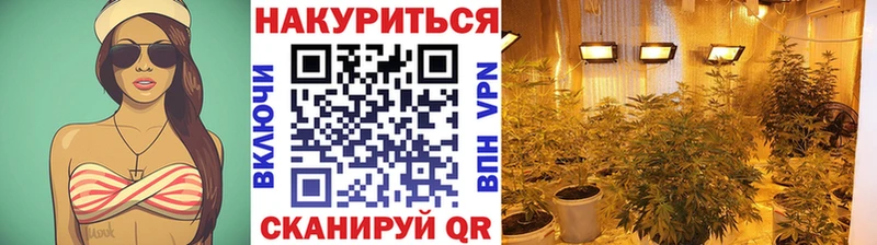 Бошки марихуана Bruce Banner  хочу   Братск 